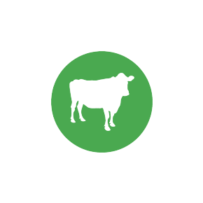 Van Ons logo